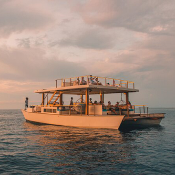 small white cruise boat during the sunset
