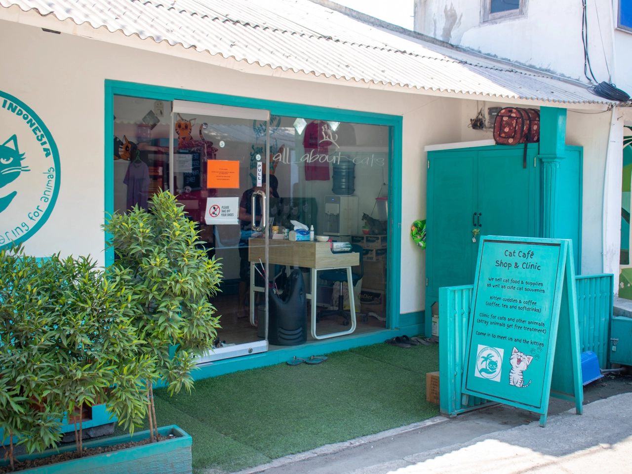 cat clinic on gili trawangan