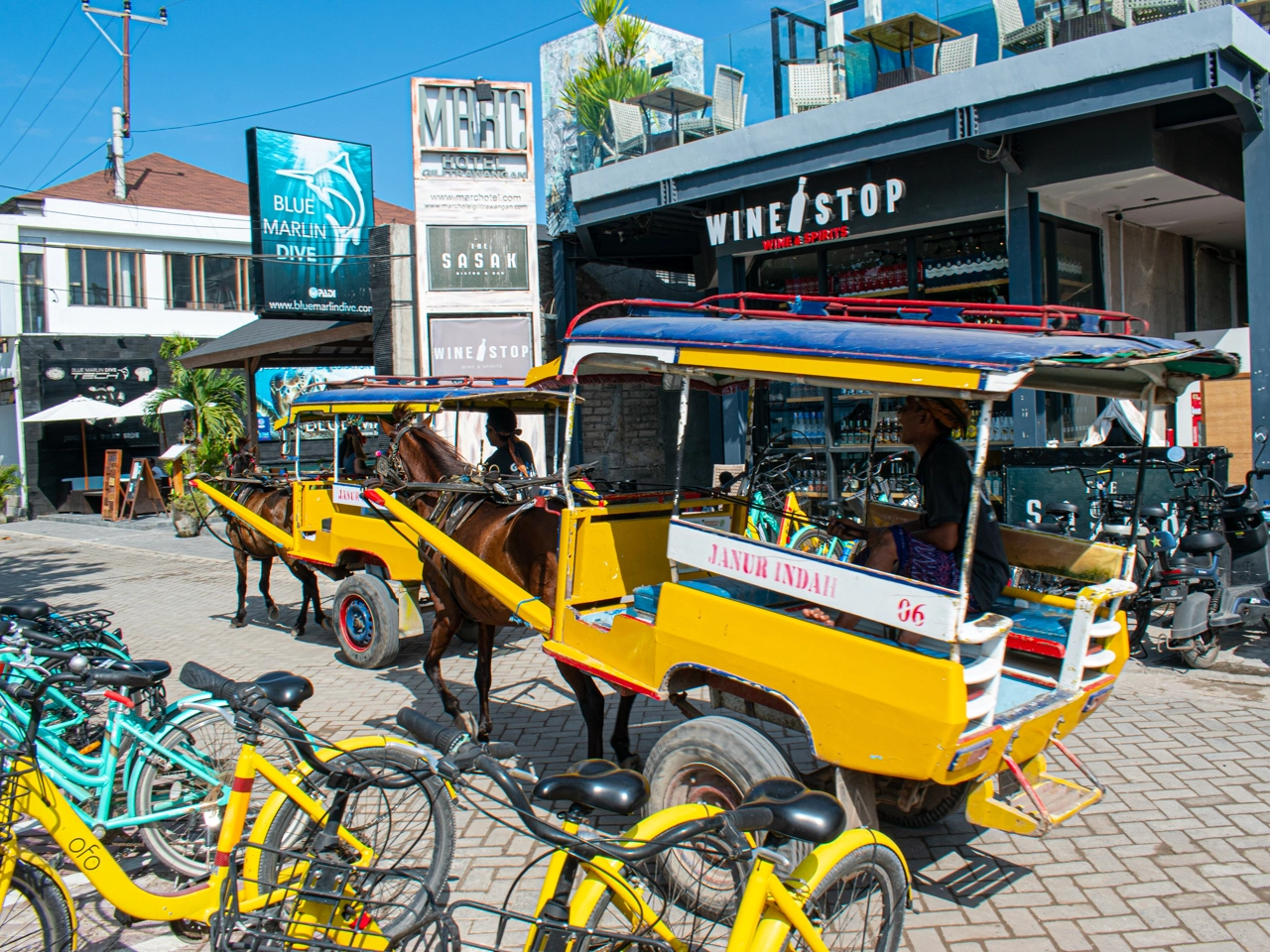 horse wagon or cidomo on Gili Trawangan