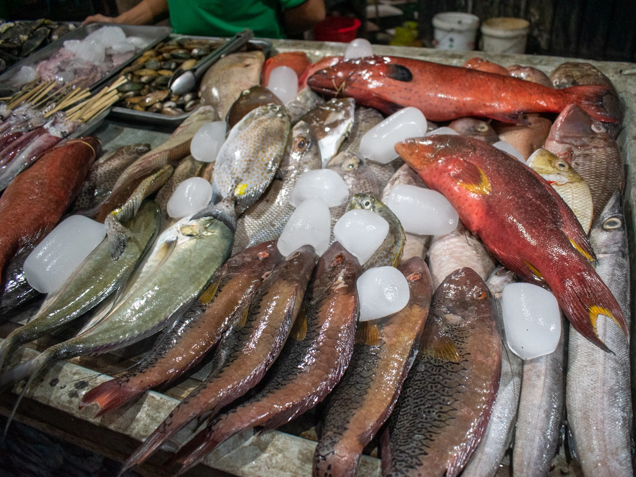 fishes at gili trawangan night market
