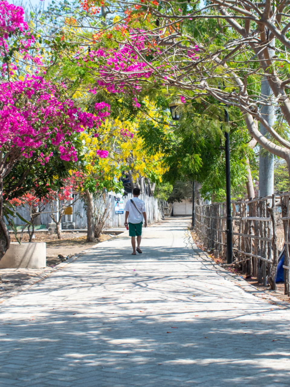 street in the center of gili meno