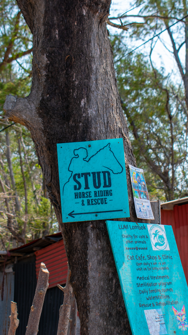 stud horse ride stable sign