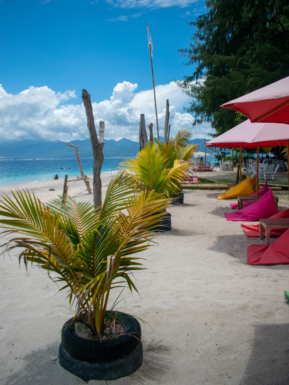 little palm tree on the white sand beach on gili trawangan