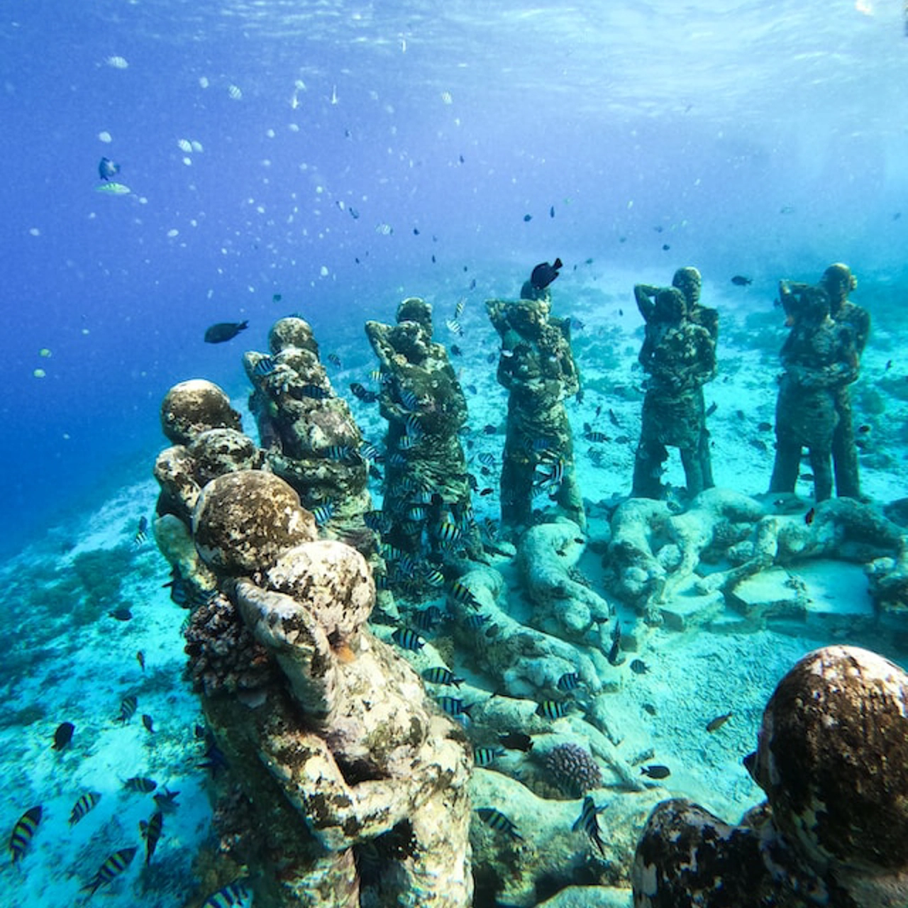 underwater statues