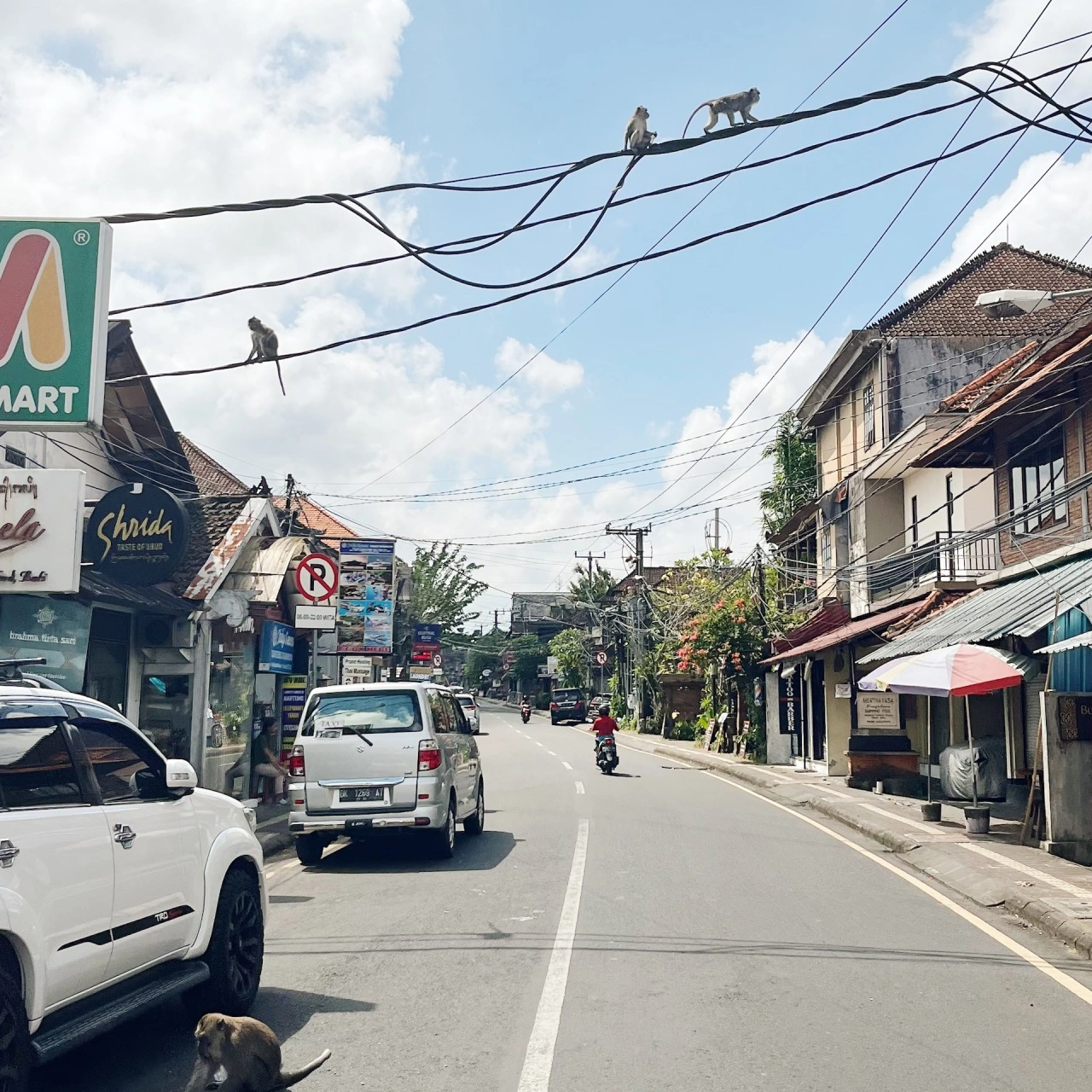ubud main street